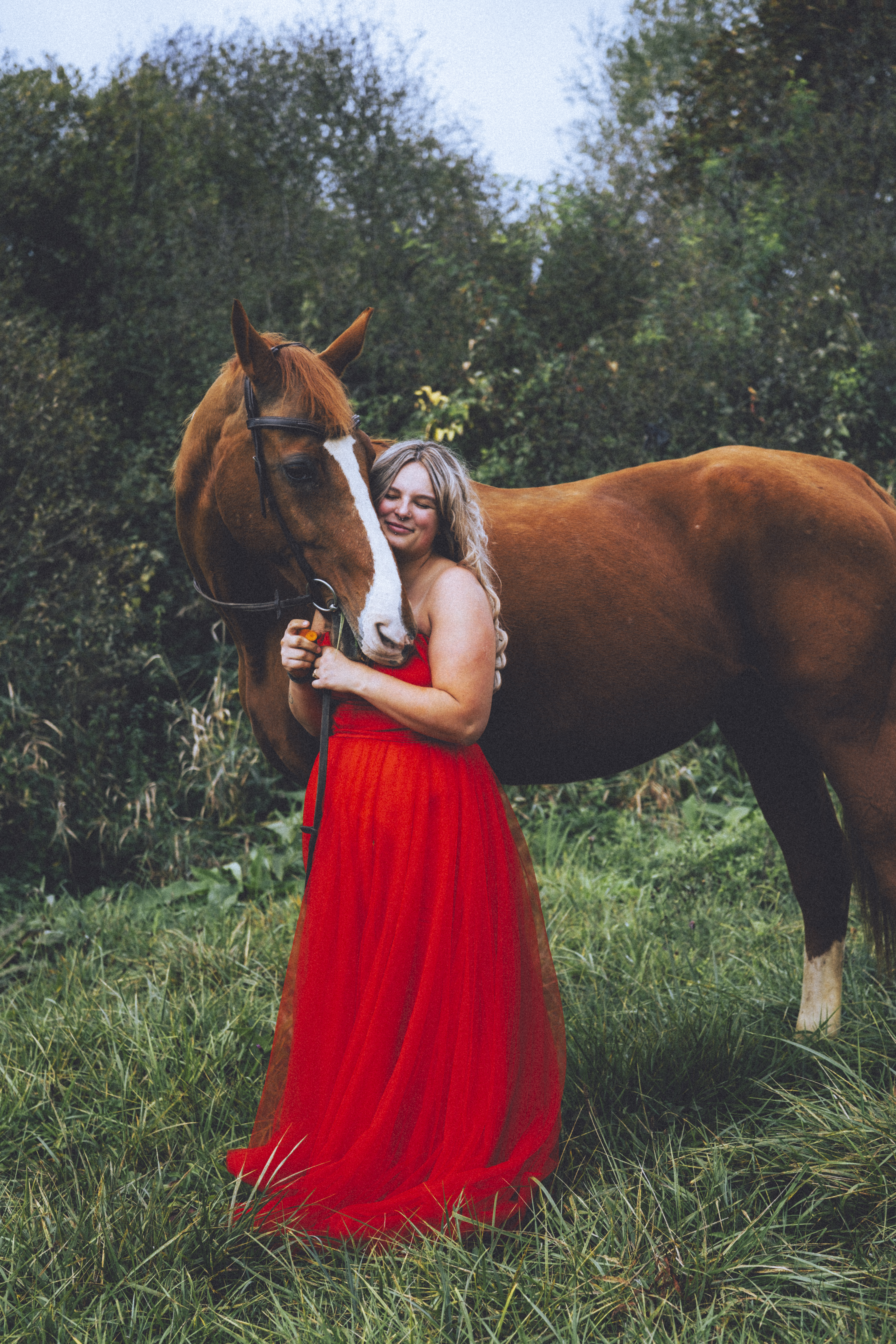 Moment de complicité d'un cheval et de sa propriétaire